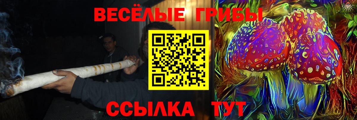 Галлюциногенные грибы Psilocybine cubensis  Псилоцибиновые грибы мухоморы  Дубна  Вход с VPN 